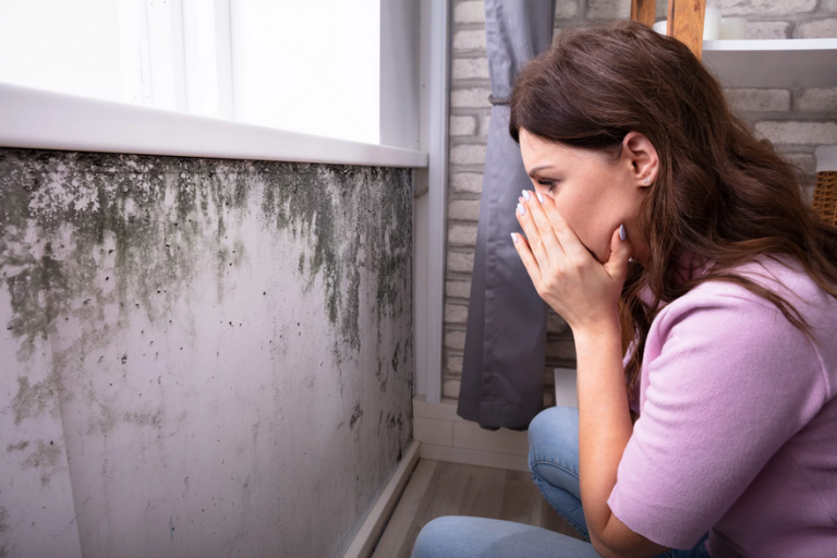 Mold in a Rental Unit: Tenant Rights and Landlord Obligations